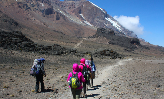 Kilimanjaro Climb Via Marangu - 5 Days