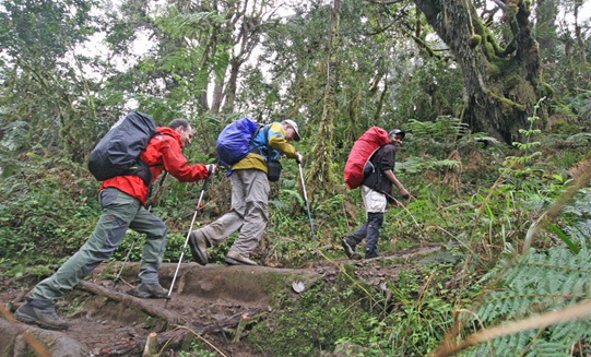 Kilimanjaro Climb Machame - 7 Days