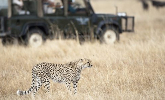 8 Days Tanzania Classic Safari