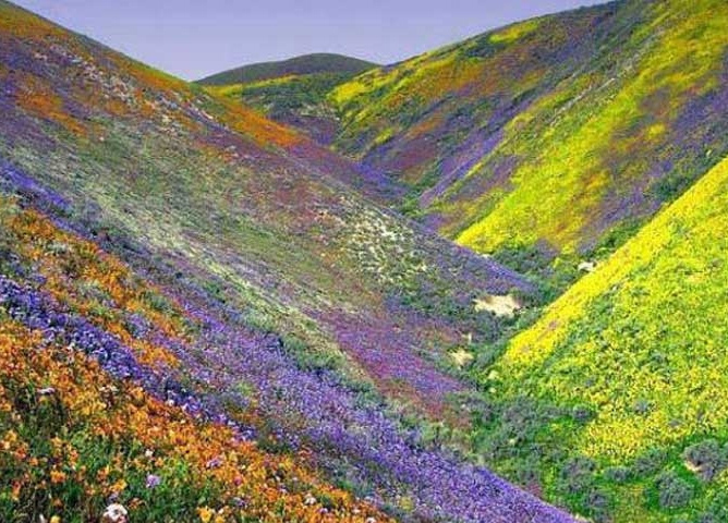 Kitulo National Park