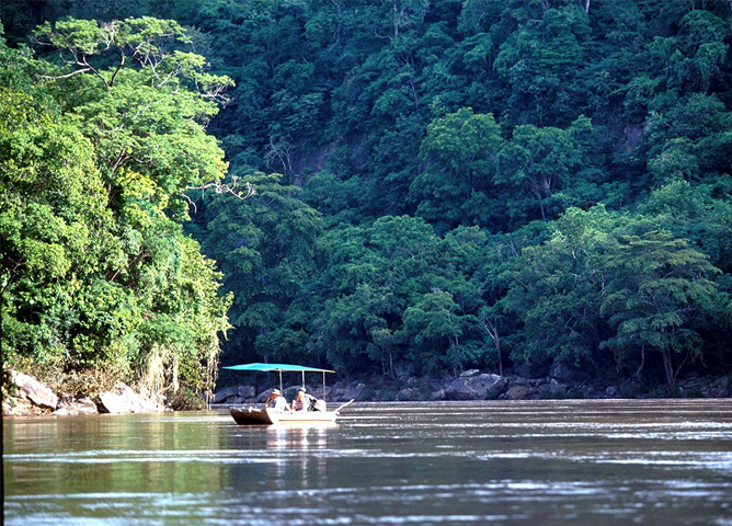 Nyerere National Park