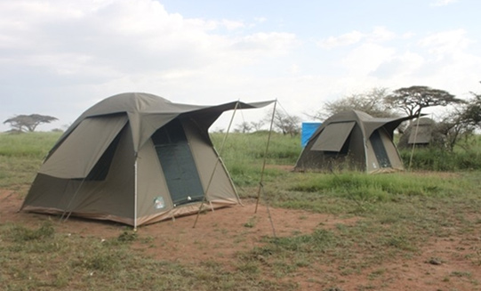 5 Days Budget Camping Safari - Northern Tanzania