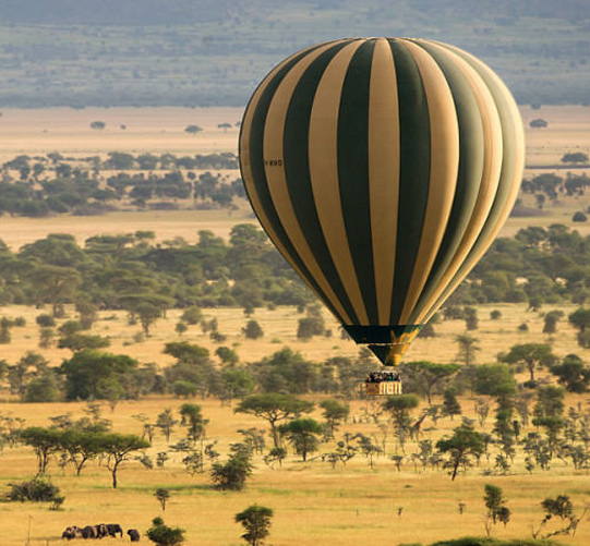 Balloon Safari