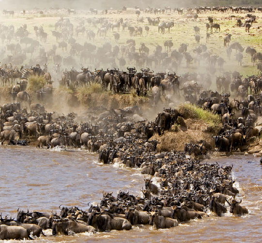 Great Migration