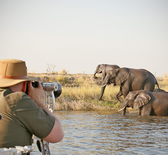 Photographic Safari